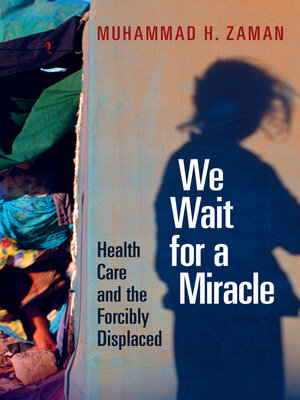 cover image of We Wait for a Miracle